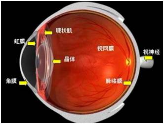 角膜移植是怎么回事？